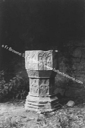 DUNSANY CASTLE FONT IN ABBEY